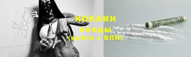 гидропоника Вяземский