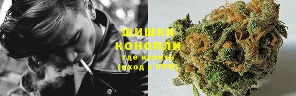 гидропоника Вяземский