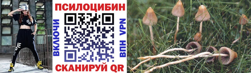 наркошоп  Приволжский  ссылка на мегу как войти  Псилоцибиновые грибы ЛСД 
